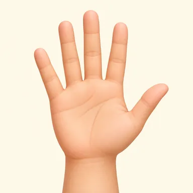 hand: 手