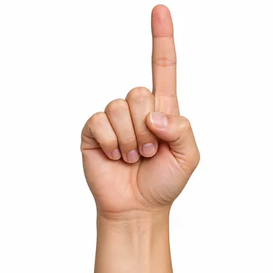 finger: 指